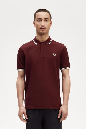 Pánské Polo Triko Fred Perry M3600 Oxblood / Ecru / Ecru | CZIIZ56680